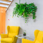 Herd Coworking Warragul yellow chairs with plants and stairs