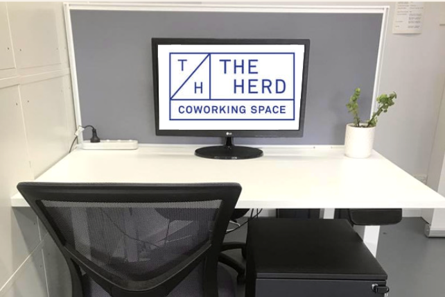 hot-desk-herd-coworking-permanent hot-desk-herd-coworking-permanent
